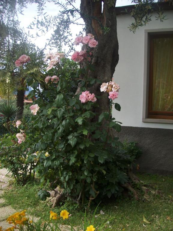 Garni Casa Rabagno 호텔 말세진느 외부 사진